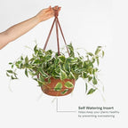 Bloem Dura Cotta 12" Plastic Hanging Basket Planter, Terra Cotta, 4-Pack - Image 4