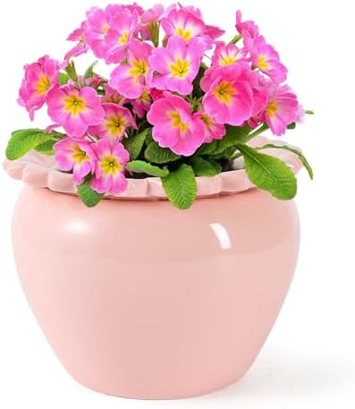 8in Pink Ceramic Self Watering Planter - Terracotta Maintenance Plant Seeder for Indoor African Violet Plants by LovelyRan