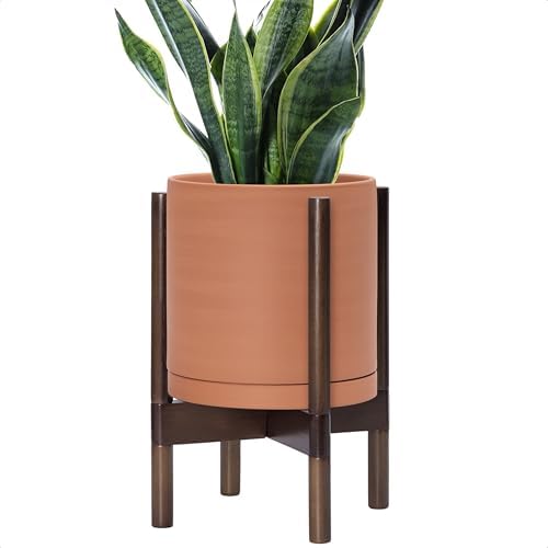 D'vine Dev Terracotta Pot with Walnut Wood Stand, 10 in, 55-B-X-5 by DvineDevPlanterPotsandStand