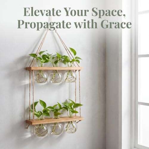 TOYANDONA Wall Hanging Plant Propagation Station, 2 Tier Wooden Vase Holder - Image 3