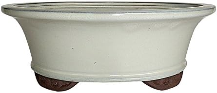 Brussel's Bonsai - Medium Ceramic Bonsai Plant Pot, Oval Glazed Planter by BrusselsBonsai