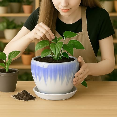 Deep Dream 8 Inch Plant Pots- Ceramic Pots for Plants with Drainage Hole and Saucer, Large Planter Pot for Indoor Plants Outdoor Decor, White&Blue - Image 6
