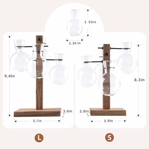 Plant Propagation Station with Large Acacia Wood Stand and 4 Glass Vases - Image 2