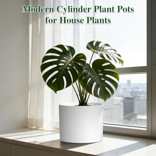 Plant Pots, 10/9/8 Inch 3 Pack Cylindrical Flower Pots with Drainage Holes and Saucers, Plastic Planters for Outdoor Indoor Plants,White - Image 7