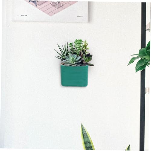 Hanging Planters Wall-Mounted Vases Succulent Planter Pots Decorative Flower Pots for Boho Style Easy to Add Plants - Image 6