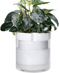 Phoenix Vine 10 Inch Self Watering Planter, White Terracotta Clay Pot with Glass Reservoir for Indoor Plants, Herbs, Flowers, Set of 1, 52-B-I-1 by Phoenix+Vine