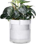 Phoenix Vine 10 Inch Self Watering Planter, White Terracotta Clay Pot with Glass Reservoir for Indoor Plants, Herbs, Flowers, Set of 1, 52-B-I-1 by Phoenix+Vine