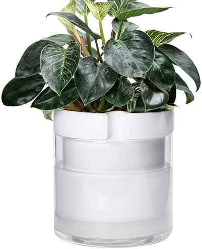 Phoenix Vine 10 Inch Self Watering Planter, White Terracotta Clay Pot with Glass Reservoir for Indoor Plants, Herbs, Flowers, Set of 1, 52-B-I-1 by Phoenix+Vine