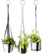 Genuine Leather Plant Hanger + Pot | Minimalist Hanging Planter | Modern Indoor/Outdoor Décor - Image 6