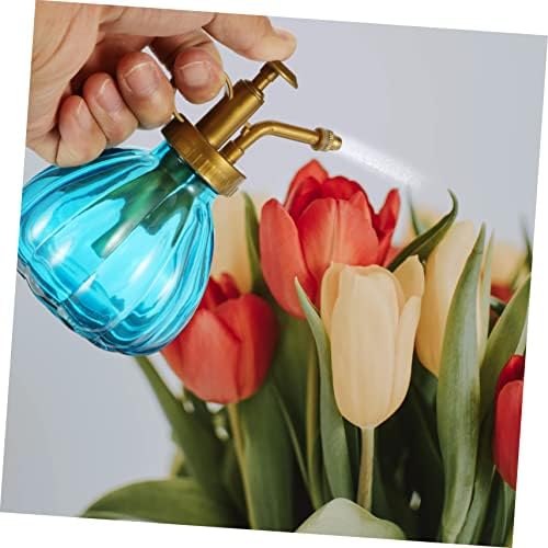 HANABASS 2pcs Vintage Glass Watering Can and Nozzles for Plant Misting and Watering Elegant Decorative Spray Bottles for Indoor and Outdoor Use - Image 5