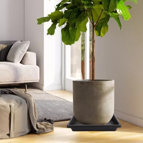 Plant Saucer 12 Inch Square 4 Pack, Plastic Plant Drip Trays, Plant Saucers for Indoors and Outdoors, Flower Pot Saucers, Saucers for Potted Plants, Planter Saucer, Plant Water Catcher Trays for Pots - Image 5