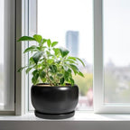 SQOWL Ceramic Flower Pot - 10 Inch Planter with Drainage Hole and Saucer, Modern Large Plant Pot Indoor Outdoor, Decorative Round Planter, Bedroom Decor, Gifts for Plant Lovers, Black - Image 4