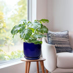 8 Inch Ceramic Plant Pot - Decorative Round Planter for Indoor Plants with Drainage Hole and Saucer, Home House Room Office Garden Decor, Blue - Image 7