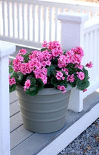 The HC Companies 12 Inch Marina Planter Lightweight Indoor Outdoor Plastic Plant Pot for Herbs and Flowers, Warm Gray (Pack of 2) - Image 4