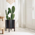 D'vine Dev Plastic Pot with Walnut Wood Stand, Black, 12 in, 55-C-O-2 - Image 5