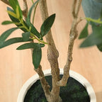 LOMANTO Artificial Olive Trees, 6 ft Tall Fake Olive Trees for Indoor - Image 2
