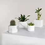 JONATHAN Y Romy Modern Minimalist Handmade Concrete Geometric Planter Set with Drainage Holes, Matte White (Set of 4) (PLN1005C-4SET) - Image 5
