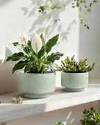 Succulent Pots, 8"+6" Plant Pots, Ceramic Planters for Indoor Plants - Image 2