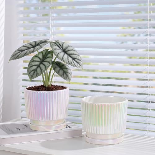 Pearl Plant Pots, Ceramic Flower Pots with Drainage Holes & Saucer Set of 2 - Image 6