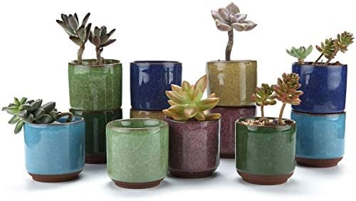 T4U Mini Succulent Pots, Small Ceramic Planters, Retro Gift Set of 12 by T4U
