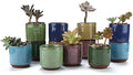 T4U Mini Succulent Pots, Small Ceramic Planters, Retro Gift Set of 12 by T4U