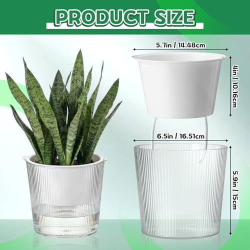 6 Pack Self Watering Pots for Indoor Plants Plastic Vertical Ribbed Semi Transparent Planters, Dual Layer Reservoir for Indoor Succulents Herbs Pothos(Clear, White,6.5 x 5.9 Inch) - Image 2