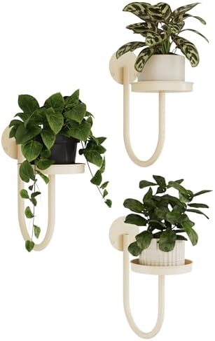 Bamworld Wall Plant Holder for Hanging Planters, White, 3pcs by Bamworld