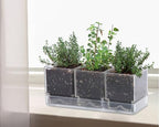 D'vine Dev 2-Pack Acrylic Herb Garden Planter Set, Clear, 76-V-D-2 - Image 2