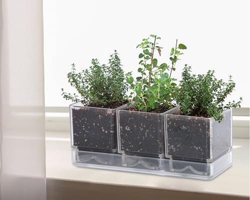 D'vine Dev Acrylic Herb Garden Planter Set, Clear, 76-V-D-1 - Image 4
