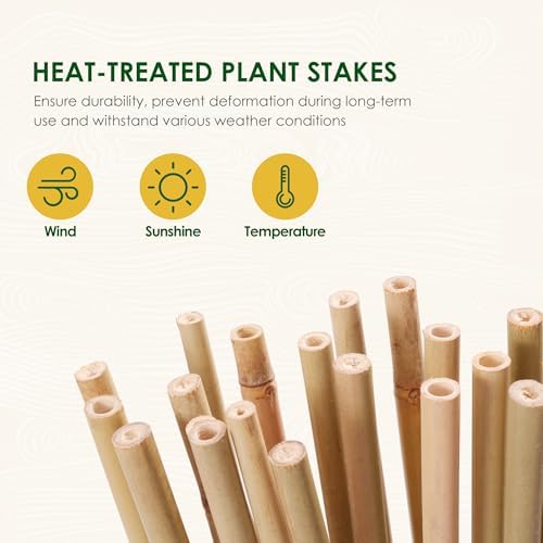 Cambaverd Bamboo Stakes 3ft, 50 Pack Garden Stakes, Bamboo Sticks for Plant - Image 3