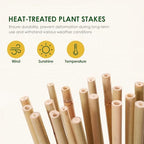 Cambaverd Bamboo Stakes, Plant Stakes 4ft, 50 Pack Bamboo Sticks for Plants - Image 3
