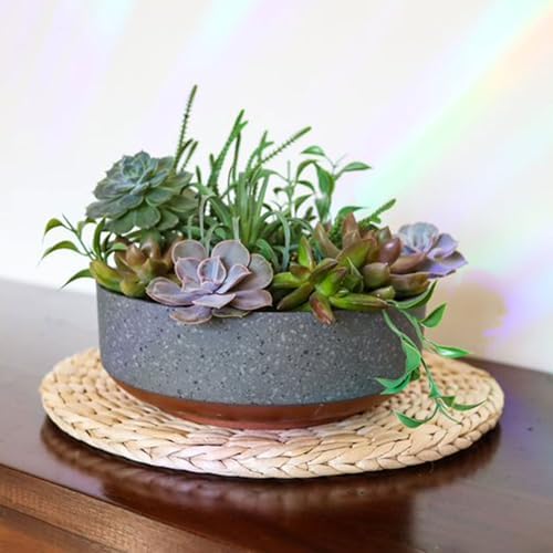The HC Companies 8 Inch Capri Bowl Planter, Faux Concrete, 20-Pack - Image 3