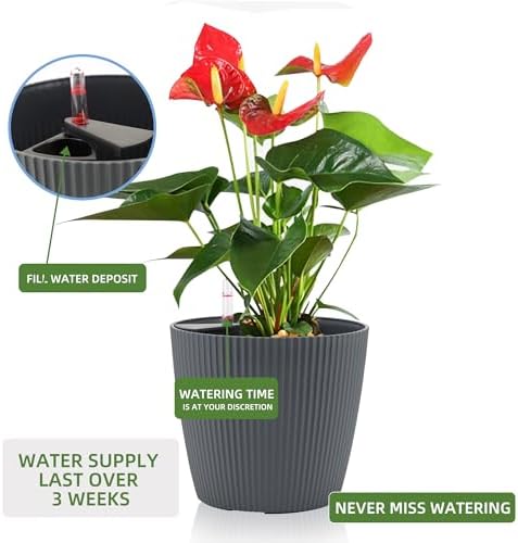 Dexceder 11x10 Self Watering Planters Indoor (2 Pack, Gray) - Image 5