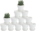 Juvale Mini Terracotta Pots - Pot with Drainage Hole - Versatile Succulent & Herb Planter - Paintable White Planter for Custom Decor - Pack of 12, White, 2.9 x 2.9 x 2.5 in by Juvale