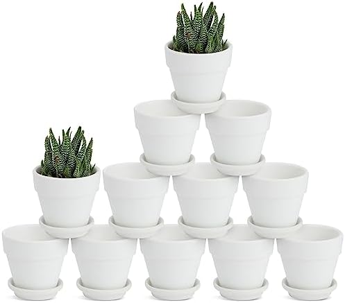 Juvale Mini Terracotta Pots - Pot with Drainage Hole - Versatile Succulent & Herb Planter - Paintable White Planter for Custom Decor - Pack of 12, White, 2.9 x 2.9 x 2.5 in by Juvale