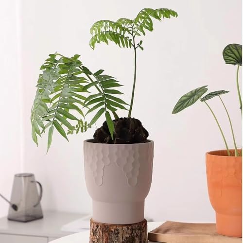 Planter Round Terra Cotta Flower Pot, with Honeycomb Pattern Planter, for Decorate Balcony Living Room Bedroom Kitchen Garden (2 Sizes) Garden(Large) - Image 3