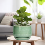 G EPGardening Ceramic Planter, 9 Inch Plant Pot, Green - Image 4