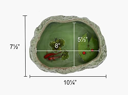 Cotta Planters Bonsai Lotus Pot, Shallow Succulent Planter Pot, Goldfish Pot, Premium Ceramic with Decorative Copper Patina Glaze - Image 4