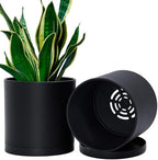 D'vine Dev 2-Pack Black Plastic Planters with Saucers, 6.5 in, 74-Y-L-1 by DvineDevPlanterPotsandStand