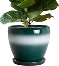 10Inch Ceramic Plant Pot, Ceramic Flower Pots Indoor, Green-White by EPFamily