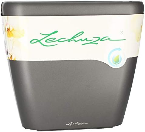 Lechuza Quadro LS 35 Charcoal Metallic, Self-Watering Square Planter, H13 L13.8 W13.8 in by LECHUZA
