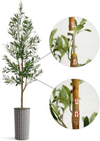 Artificial Tree in Black and White Geometric Planter, Fake Olive Silk Tree for Indoor and Outdoor Home Decoration - 68" Overall Tall (Plant Pot Plus Tree) - Image 6