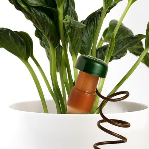 Blumat Classic Self-Watering Stakes - Prevents Overwatering and Underwatering for Healthy Growth While You are Away - Ideal for Indoor Plant Watering, 9 Pack, w Adapter - Image 2