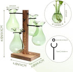 Plants Propagation Stations Bulb Glass Propagation Birthday Gift for Women - Image 3