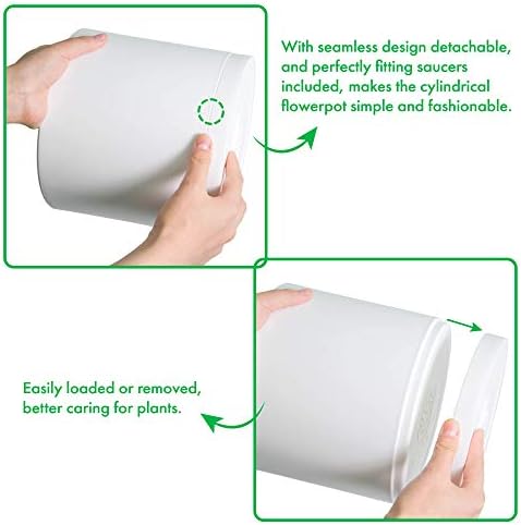 D'vine Dev 10-Pack Plastic Pots with Saucers, 4-6 in, White, 74-R-A - Image 4