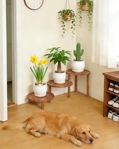 3 Tier Ladder Plant Stand, Adjustable Plant Shelf for Indoor Plants - Image 6