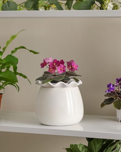 Fayoula Self Watering Plant Pot, 6 Inch African Violet Pots Maintenance, Ceramic Self-Watering Planter for Indoor Plants - Ideal Flower Pot for Thriving Indoor Gardens, White - Image 5