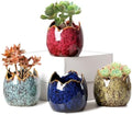 YYW Succulent Pots, 4 Pack Ceramic Planters with Drainage Hole, Garden Pots by YYW