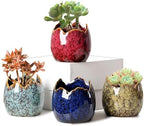 YYW Succulent Pots, 4 Pack Ceramic Planters with Drainage Hole, Garden Pots by YYW