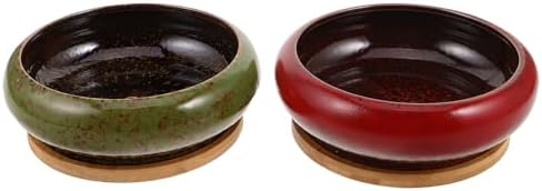 Vintage Ceramic Succulent Pot with Tray 2pcs, Round Indoor Xmas by WOFASHPURET